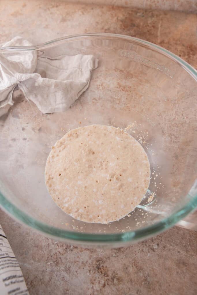 Yeast, milk, and sugar mixture foaming in a glass mixing bowl.