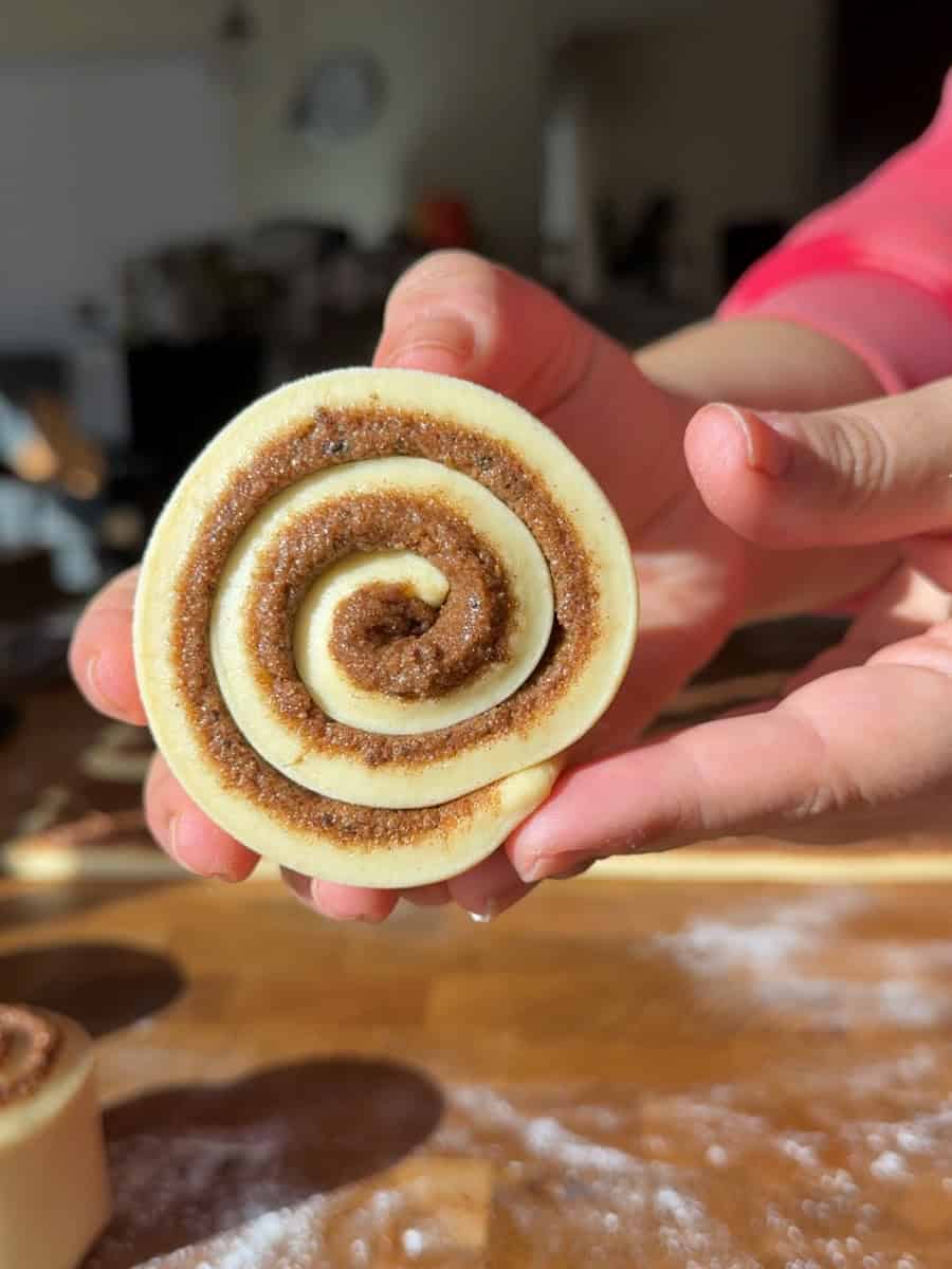 Close-up of unbaked cinnamon roll spiral held in hand