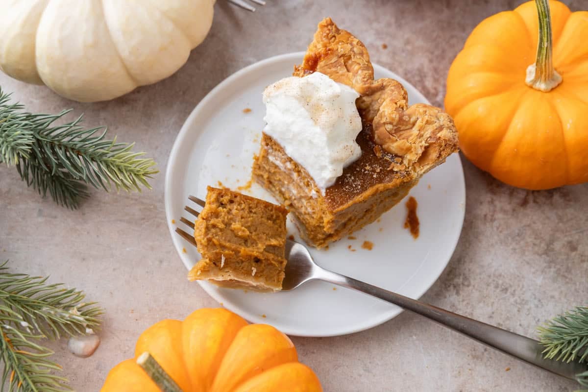 Closeup of a forkful of pie