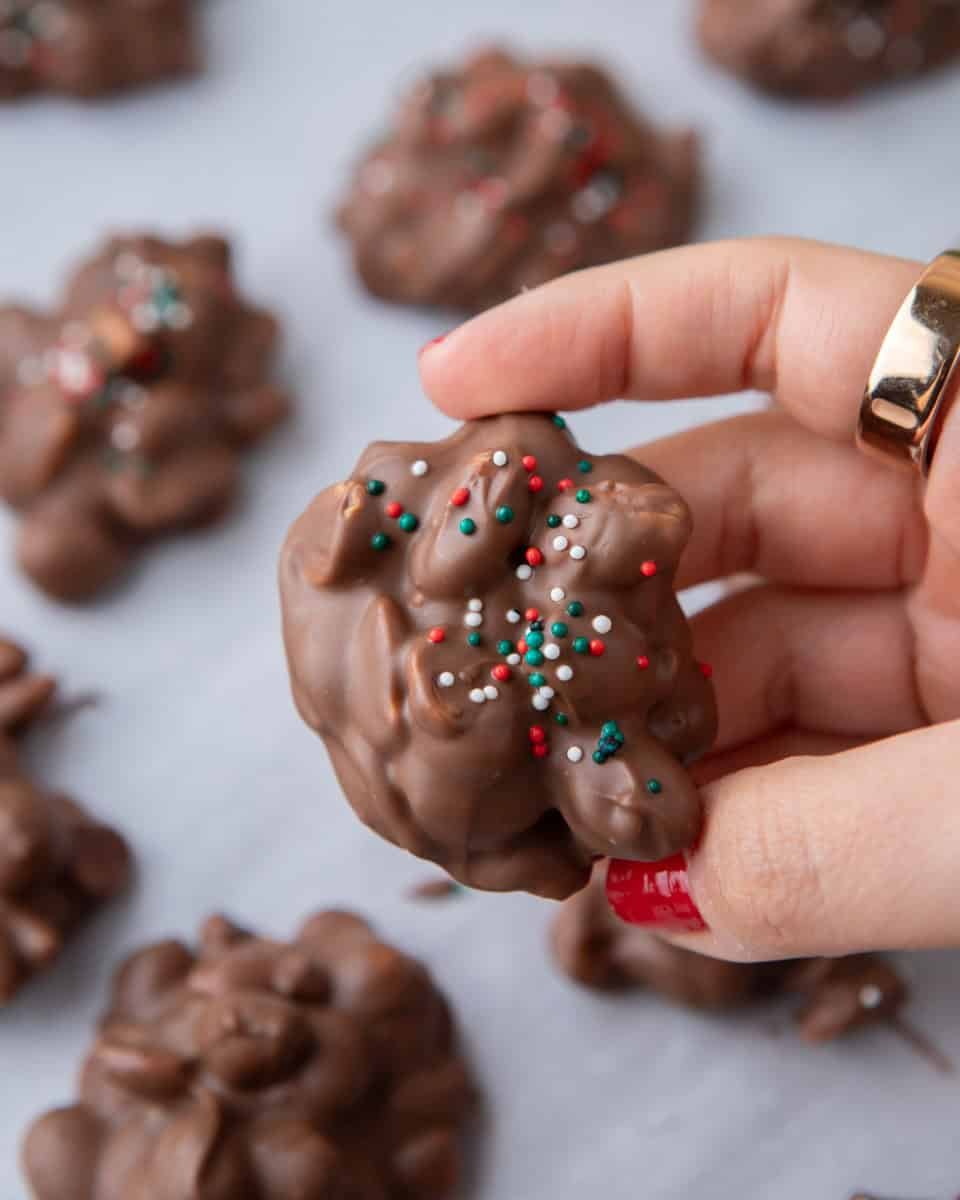 Hand holding a chocolate crockpot candy cluster topped with sprinkles