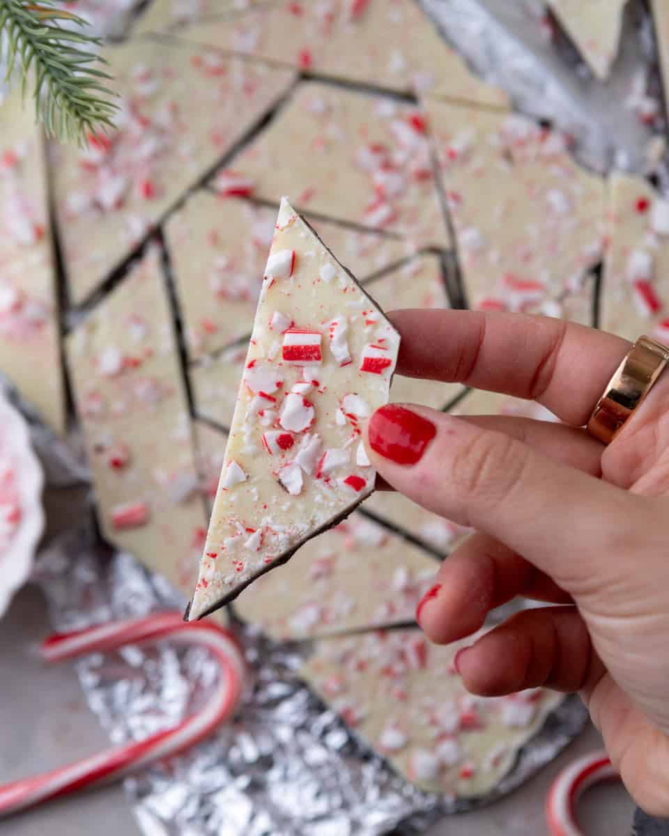 Hand holding a shark of peppermint bark