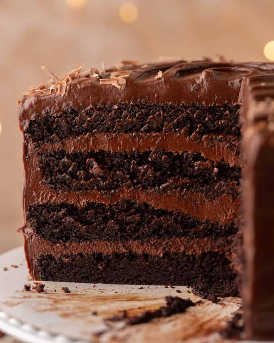 Close-up of layered chocolate beet cake interior

