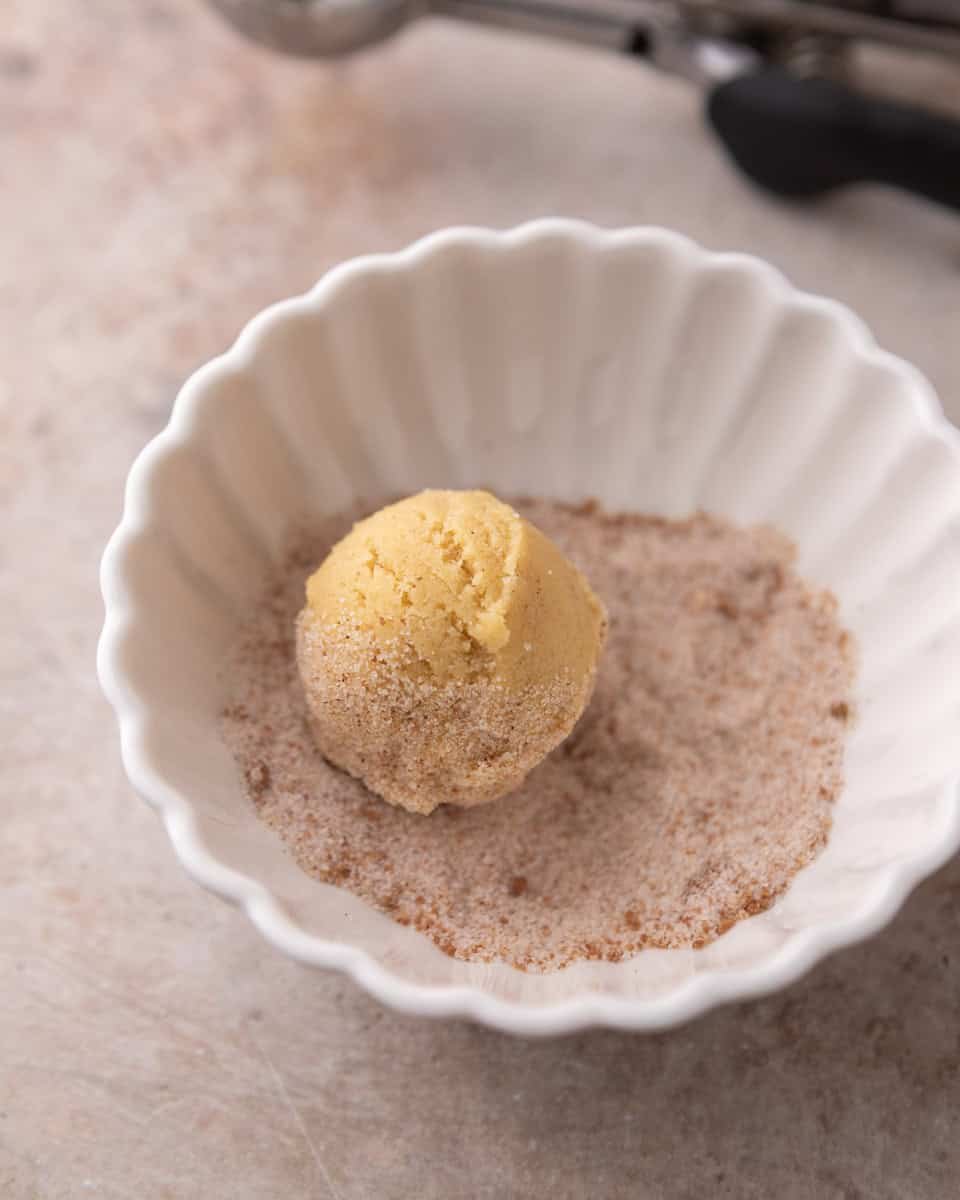 Cookie dough ball rolled in cinnamon sugar mixture
