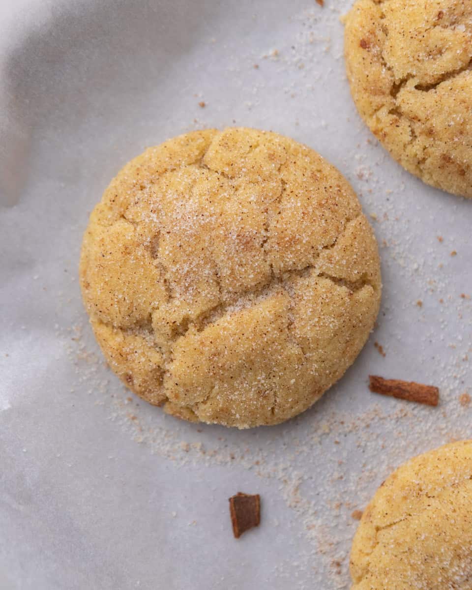 Freshly baked small-batch snickerdoodle cookie with cinnamon sugar topping
