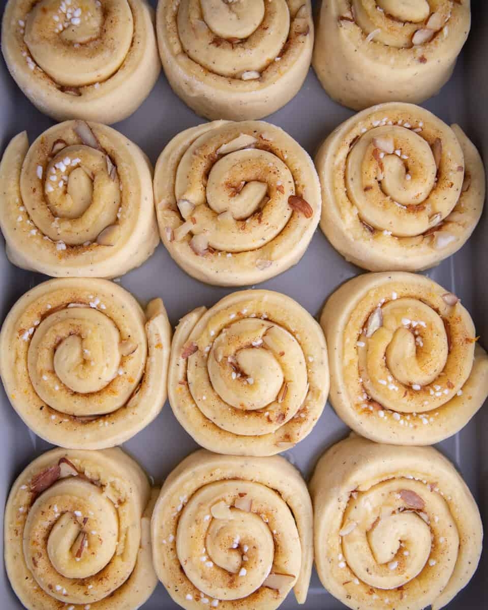 Fully proofed cinnamon rolls ready for oven