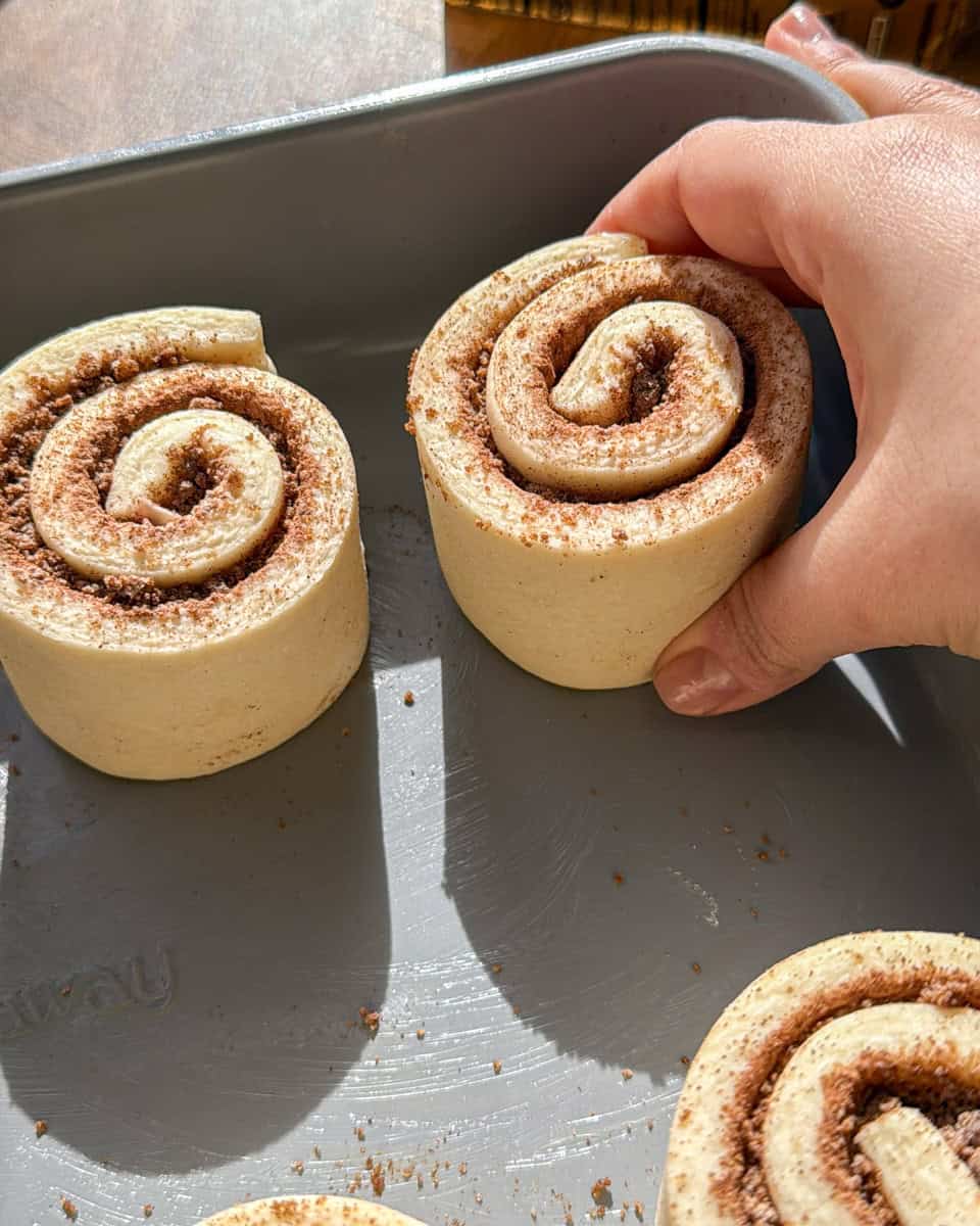 Unbaked croissant cinnamon rolls arranged in a baking pan before proofing