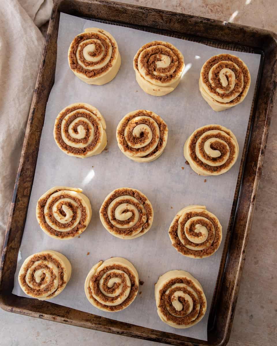 Twelve unbaked cookie butter cinnamon rolls spaced apart on a parchment-lined sheet pan