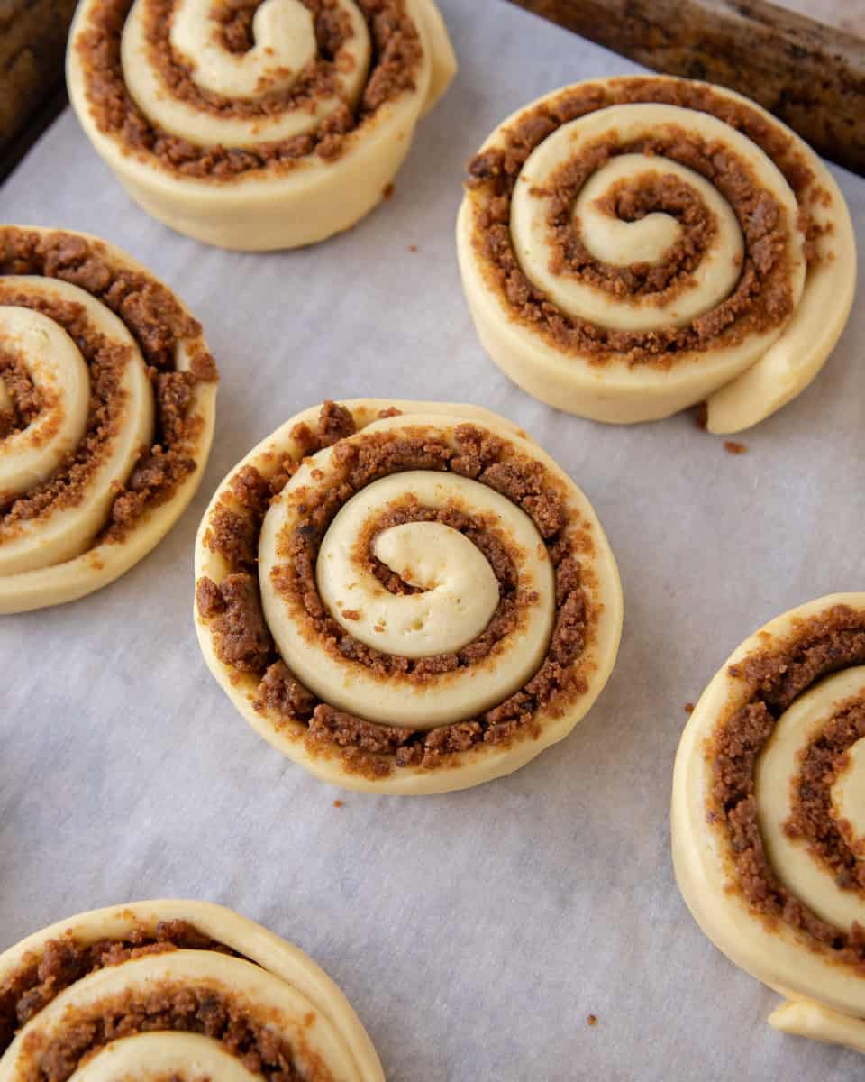 Close-up of unbaked Biscoff cinnamon roll spirals spaced apart on parchment paper