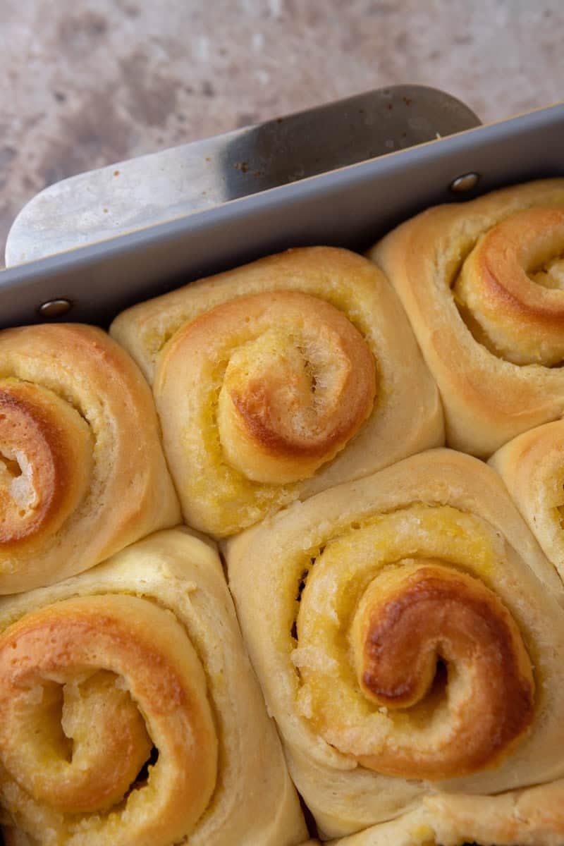 Freshly baked lemon rolls golden brown in a grey baking pan straight from the oven