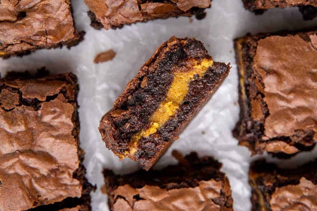 Pumpkin cheesecake brownies sliced into squares with one piece tilted to show the spiced pumpkin cheesecake layer running through the center of the fudgy chocolate brownie