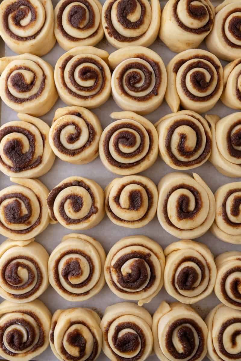 Unbaked mini cinnamon rolls arranged in rows on a sheet pan showing tight cinnamon swirl spirals