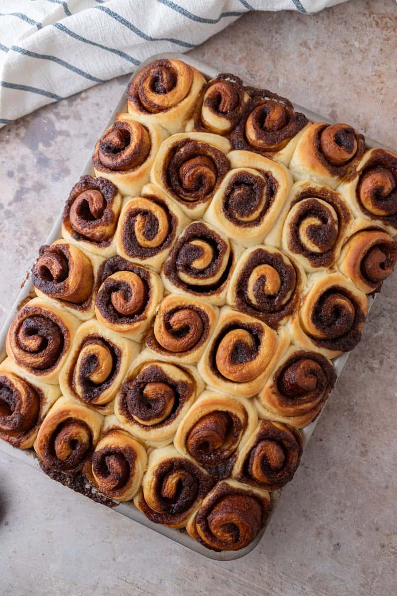 Freshly baked mini cinnamon rolls in a sheet pan with golden tops and visible cinnamon swirls
