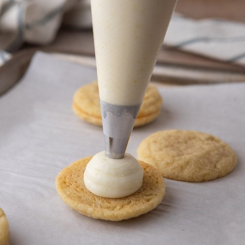 Cream cheese lemon frosting being piped onto a cooled lemon sugar cookie to make a sandwich.
