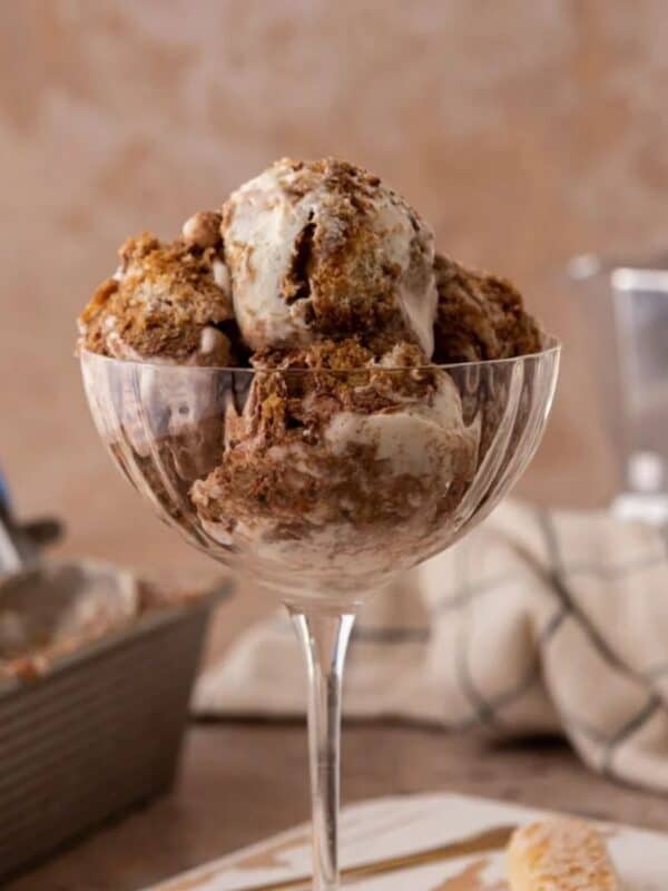 Creamy tiramisu ice cream with mascarpone and ladyfingers in a glass with a spoon.