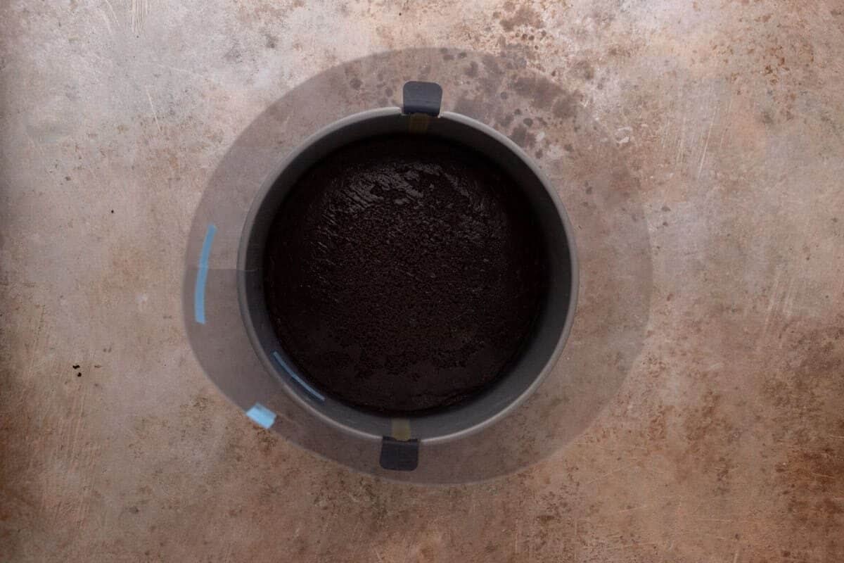 Cake layer in a springform pan lined with an acetate cake collar taped in place, ready for the mousse layer