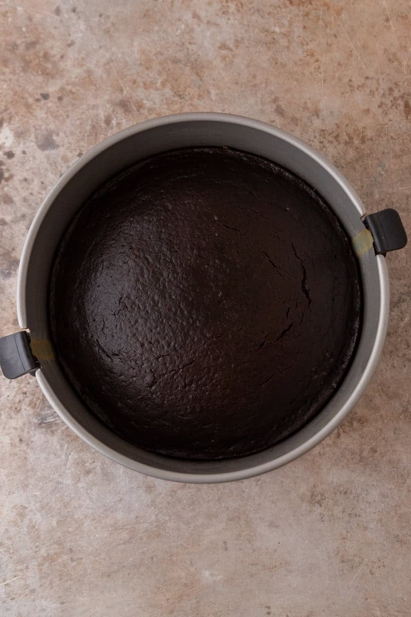 Freshly baked sponge cake in a 9-inch springform pan, dark and moist with a slightly cracked top