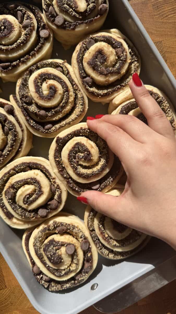 Shaped s'mores cinnamon rolls placed on graham cracker squares in a baking pan before proofing