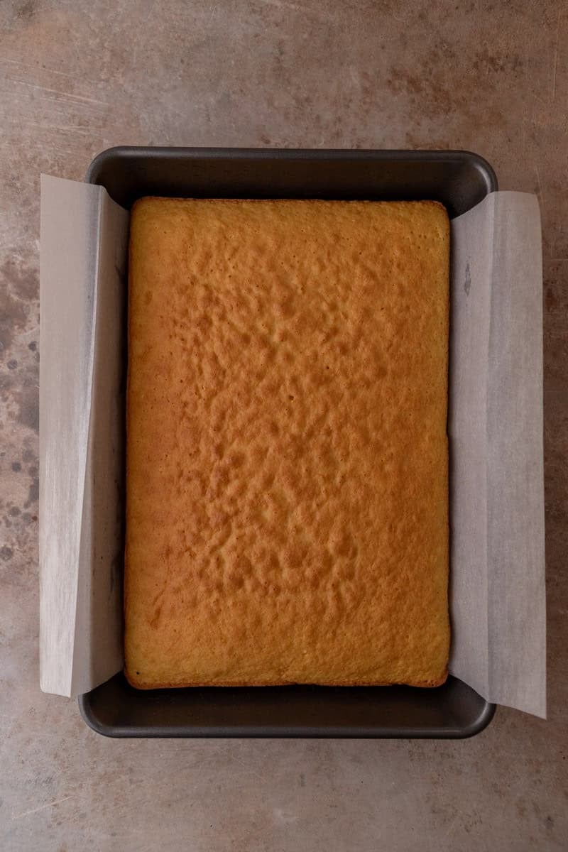 Baked tres leches cake sponge cooling in the pan