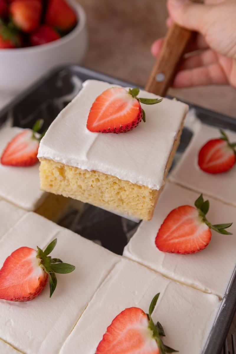 Slice of tres leches cake being lifted with a cake server from a full pan of frosted squares topped with strawberries