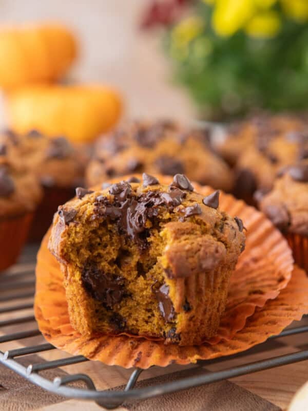 Close up of pumpkin chocolate chip muffins with a bite taken out of them to show a moist packed with chocolate chips center.
