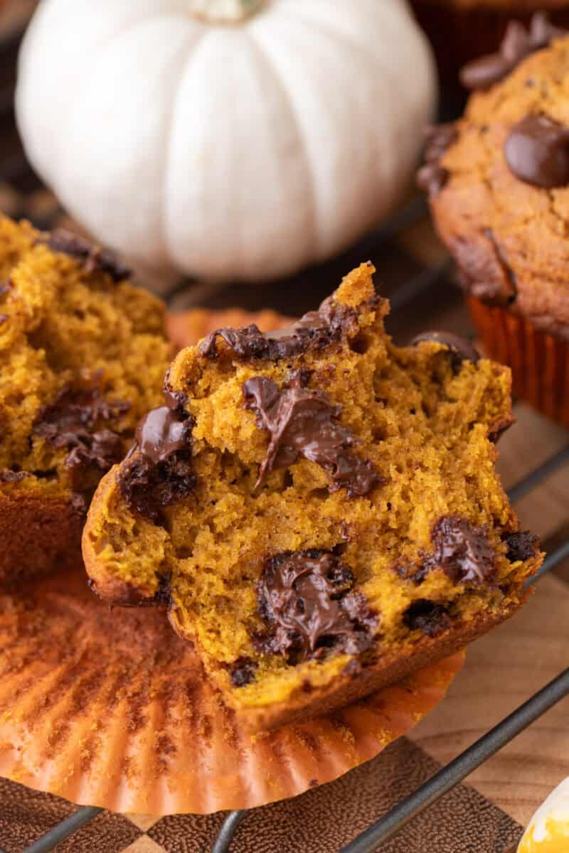 Pumpkin muffin broken in half showing melted chocolate pools through the soft orange crumb.