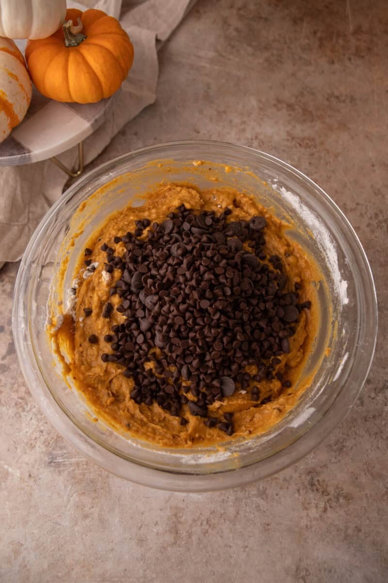 Mini and regular chocolate chips scattered across the surface of thick pumpkin batter.