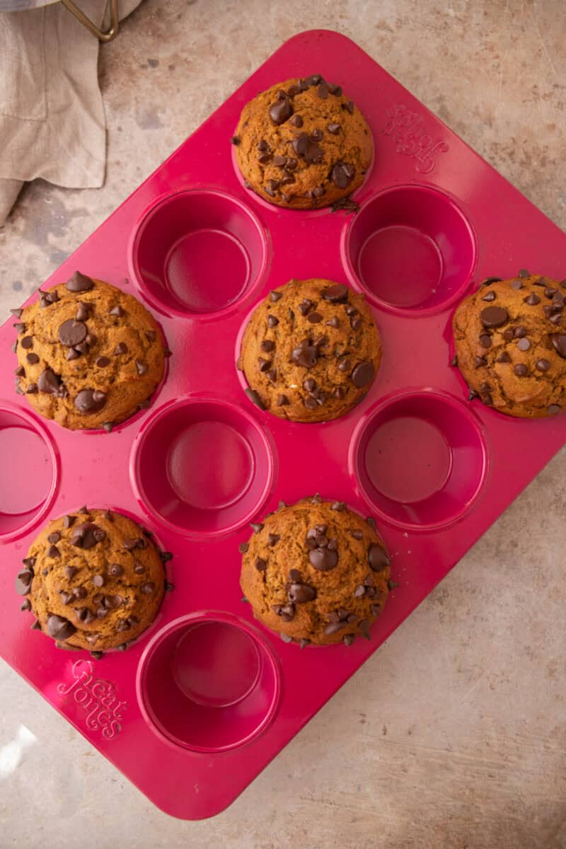Tall domed pumpkin chocolate chip muffins fresh from the oven sitting in the pan.